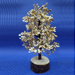 Product 14